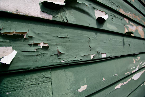 Affordable Siding Repair and Maintenance Services in New Castle, PA